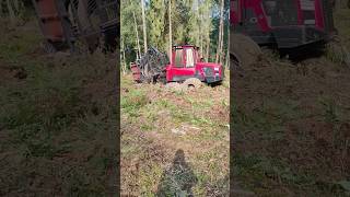 Витягуємо форвардера ЧАСТИНА 1 We pull out the forwarder PART 1 forwarder komatsu valtra [upl. by Eiffe]