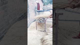 Paddy threshar Machine shorts ytshorts bhojpuri manojsirvlogs [upl. by Akener]