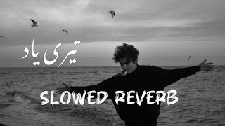 Teri Yaad  Afzaal Mirza  Saraiki Song  Slowed Reverb [upl. by Honna]