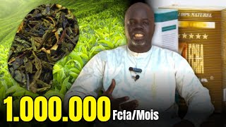 Business Si WARGA  1000000 fMois   Pr Ousmane Ndiaye  LansarrTV [upl. by Ohcirej262]