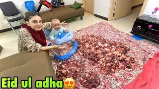 Qurbani ka Pehla din 😍  Eid ul adha Mubarak❤️ [upl. by Yrrac689]