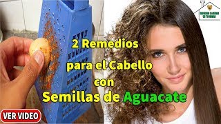 Aprenda como preparar La Eficaz Semilla de Aguacate para el Cabello Maltratado [upl. by Liagaba]