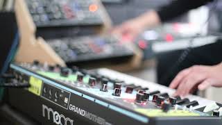 quotNew Lifequot Depeche Mode remixcover Moog Grandmother Elektron Analog Keys Behringer Dx2 [upl. by Wengert]