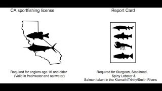 How to get fishing license in California 2019  California Fishing License [upl. by Eadie]