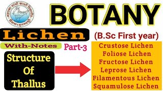 BSC 1st Year BotanyStructure of Thallus in LichensCrustose LichenFructose LichenFolioseLeprose [upl. by Jecho]