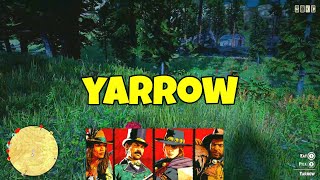 YARROW RED DEAD ONLINE reddeadonline guide reddeadredemption [upl. by Stephine]