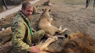 Lion Park quotTaiganquot in Crimea Interview with founder Oleg Zubkov [upl. by Ygief]