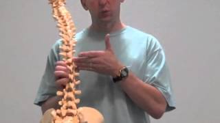 Video 22 Importance of lumbopelvic stabilization training [upl. by Martz]