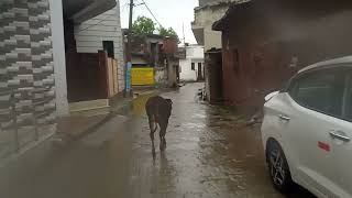 barish ma village ka look [upl. by Estella]