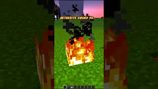 netherite sword vs all minecraft funny [upl. by Merlin185]