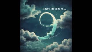 เพลง New life is born SUNO BEAR [upl. by Einreb]