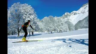 Radiobeitrag Ramsau am Dachstein [upl. by Alarice980]