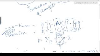 Basics of Phylogenetics  How to calculate evolutionary distance [upl. by Yelram]