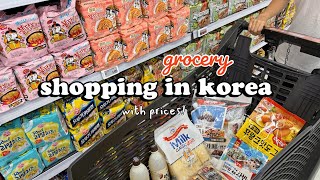 shopping in korea vlog 🇰🇷 grocery food haul 🍧 fruits snacks making summer dessert [upl. by Eniamreg]