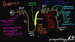 Diuretics in 3 Minutes Pharmacology [upl. by Ibbetson]