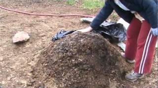 How to Compost Manure in Thirty Days [upl. by Cele]