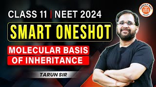 MOLECULAR BASIS OF INHERITANCE CLASS 12 ONE SHOT  NEET 2024  SMART ONE SHOT  BOTANY BY TARUN SIR [upl. by Atiuqan38]