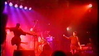 Shellac  Phoenix Festival  Warwickshire  July 17th 1994 Full Show [upl. by Aileon]