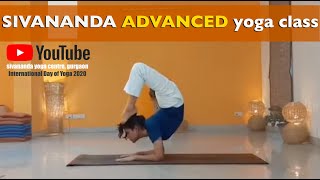 Sivananda Advanced Yoga Class [upl. by Eberly599]