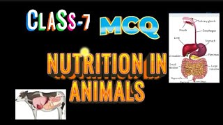 NUTRITION IN ANIMALS  CLASS 7  MCQ  NCERT  CBSE [upl. by Rozalie]