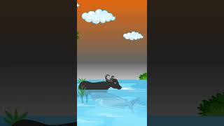 dolphin savedolphin viralvideos rever water error shorts odiacartoonvedio [upl. by Delacourt106]