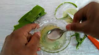 How to use aloe Vera gel for cuttings grow [upl. by Ytok156]