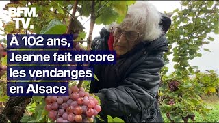 À 102 ans Jeanne continue de faire les vendanges en Alsace [upl. by Neroled]