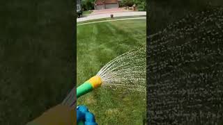 Bulletproof Fungicide Treatment for Lawns lawncare lawnlife [upl. by Kellen]