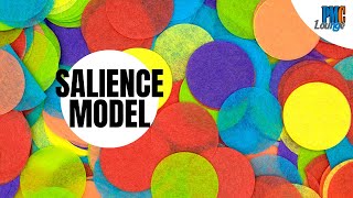 Salience Model [upl. by Milore]