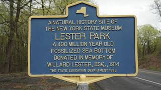 Lester Park  NY State Geoparks  Stromatolites [upl. by Acsecnarf17]