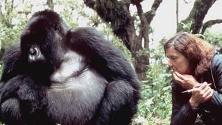 Legacy of Female Primatologists Jane Goodall amp Dian Fossey — Elizabeth Lonsdorf at The Interval [upl. by Towroy]