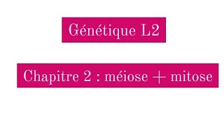 Génétique L2  méiose et mitose [upl. by Jasmin]