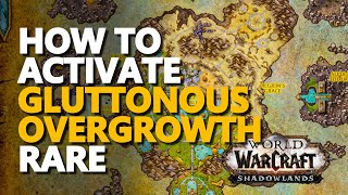 Gluttonous Overgrowth WoW Rare [upl. by Servais]