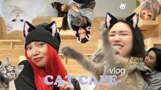 Мууранд майжуулсан шигээ л 🥲🐱🐈🐈‍⬛ Ft Riona [upl. by Suolevram]