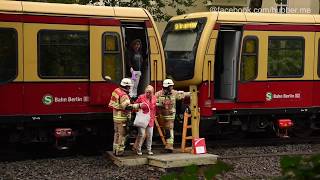 BerlinZehlendorf SBahn fährt in Baum – Feuerwehr evakuiert Fahrgäste [upl. by Odragde]