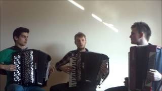 Crazy Accordion Trio  Hes a Pirate [upl. by Nodroj]