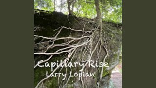 Capillary Rise [upl. by Bleier]