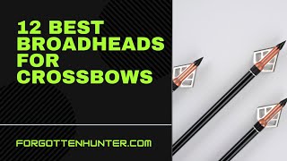 12 Best Crossbow Broadheads [upl. by Willmert]