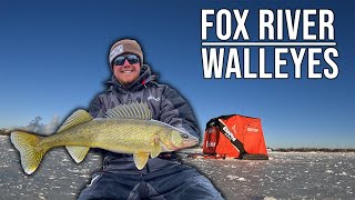 Ice Fishing The Most POPULAR River in the Midwest  Fox River Walleyes [upl. by Lleon]