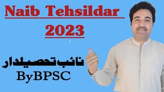 How to Pass Naib Tehsildar 2023 Exam  نائب تحصیلدار کی تیاری  Naib Tehsildar 2022 by BPSCPPSC [upl. by Ahseyi]