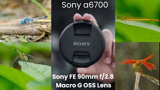 Video photography of Sony a6700 camera with Sony FE 90mm f28 Macro G OSS Lens  sony camera a6700 [upl. by Onivag498]