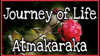 Atmakaraka  Explore your Potential and Challenges through Astrology [upl. by Ymarej]