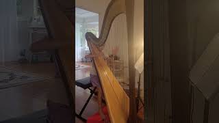 Arioso Harp from Cantata BWV 156 [upl. by Rramel]