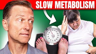 The Best Way to Fix a Slow Metabolism – Dr Bergs Expert Advice [upl. by Maximilien998]