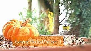 Schöne Herbstferien [upl. by Gunzburg686]