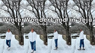 Day 1 in Jeju  Winter Wonderland Experience in Jeju South Korea December 2022 [upl. by Nida]