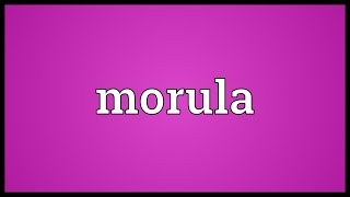 Morula Meaning [upl. by Remas]