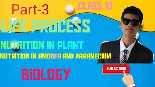 Part3Life processClass 10Nutrition in plant  amoeba and parameciumBIOLOGY [upl. by Nilram26]