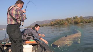 Pecanje soma i smuđa na Dunavu  Đerdap kod Kladova  Varaličarenje  Fishing catfish and zander [upl. by Chaddie]