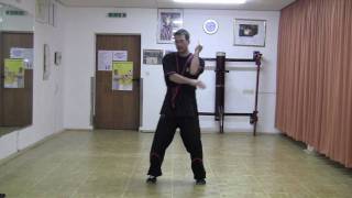 SIFU THILO HERMANN  BIU TZE [upl. by Hochman]